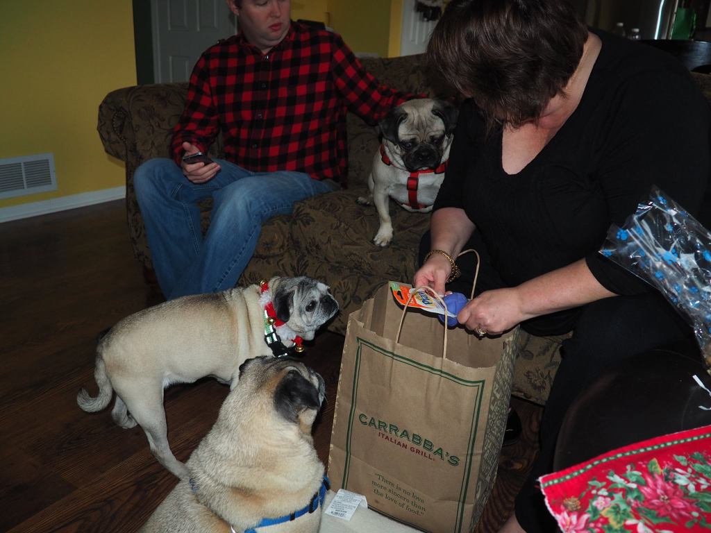 The three family dogs surrounding my mother as she opens a Christmas gift.